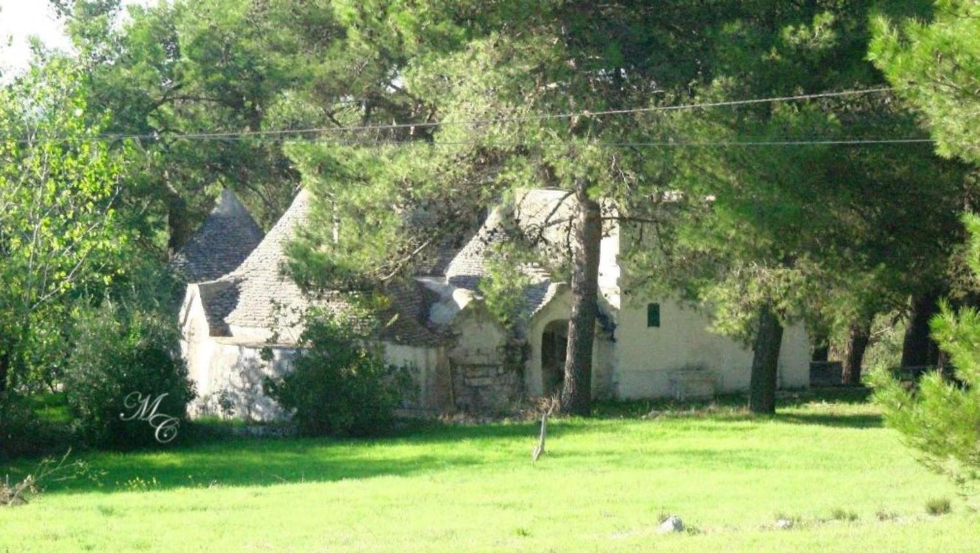 파사노 Harry'S House B&B 외부 사진